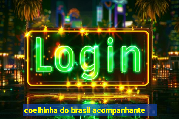 coelhinha do brasil acompanhante